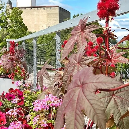 New With A View In The Town Center