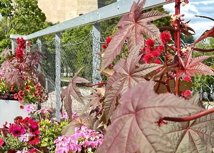 New With A View In The Town Center